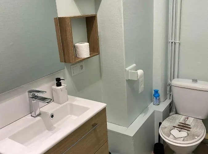 Splendide Cosy A Gare 公寓 *